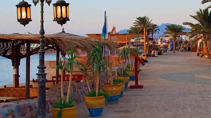 رحلات من المنصورة